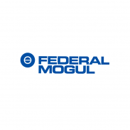 Federal Mogul